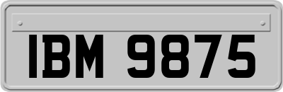 IBM9875