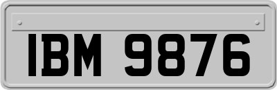 IBM9876