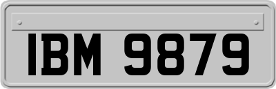 IBM9879