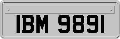 IBM9891