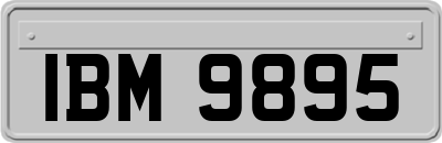 IBM9895