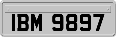 IBM9897