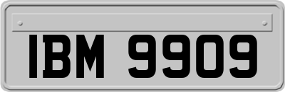 IBM9909