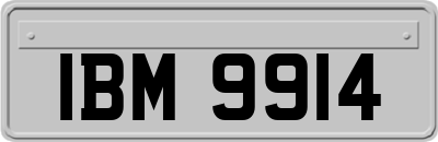 IBM9914