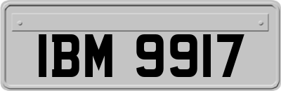 IBM9917