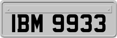 IBM9933