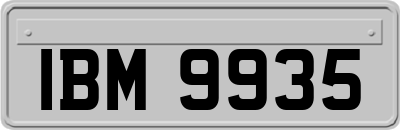 IBM9935