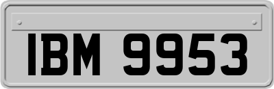 IBM9953