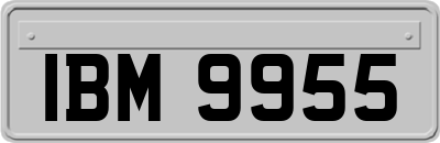 IBM9955