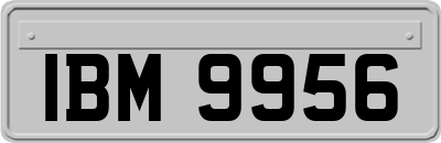 IBM9956