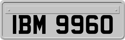 IBM9960