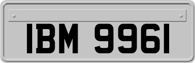 IBM9961