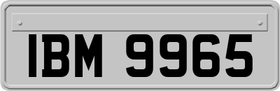 IBM9965