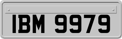 IBM9979