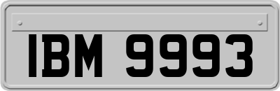 IBM9993