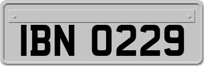 IBN0229