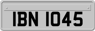 IBN1045