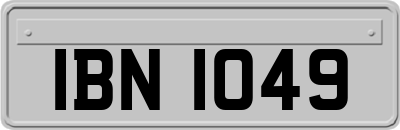 IBN1049