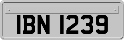 IBN1239