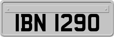 IBN1290