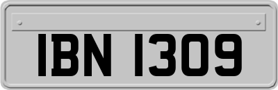 IBN1309