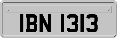 IBN1313