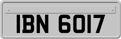 IBN6017