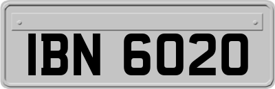 IBN6020