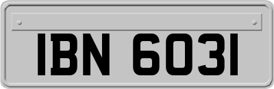 IBN6031