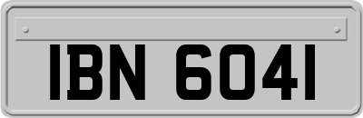 IBN6041