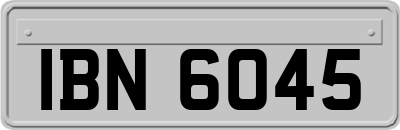 IBN6045