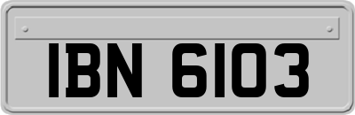 IBN6103