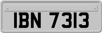 IBN7313