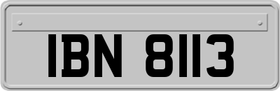 IBN8113