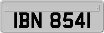 IBN8541