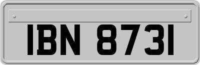 IBN8731