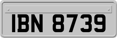 IBN8739