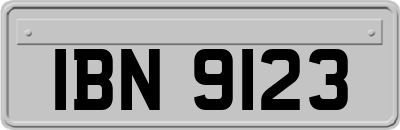 IBN9123