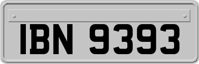 IBN9393