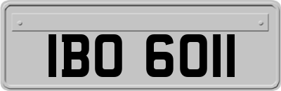 IBO6011