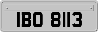 IBO8113