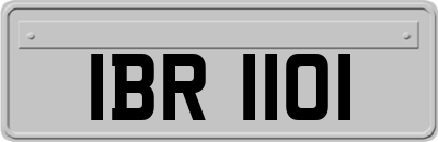 IBR1101