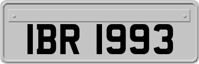 IBR1993