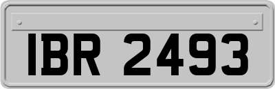 IBR2493