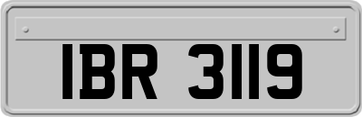 IBR3119