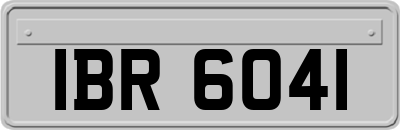IBR6041