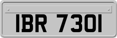 IBR7301