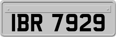 IBR7929