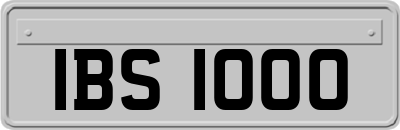 IBS1000