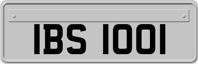 IBS1001